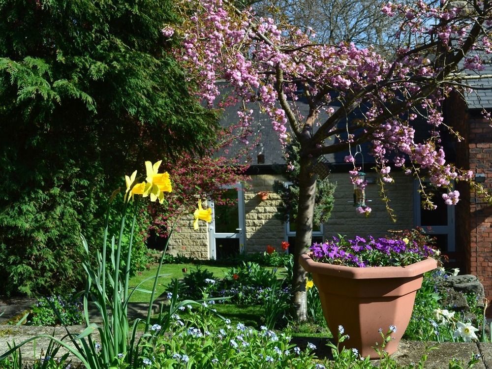 Ellen House Bed And Breakfast Matlock  Exterior photo